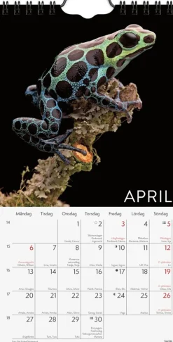 Väggkalender 2026 Wild animals