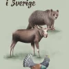 Vilda djur i Sverige