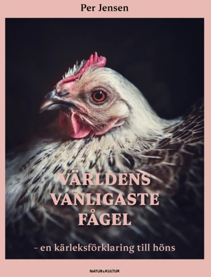 Världens vanligaste fågel : en kärleksförklaring till höns