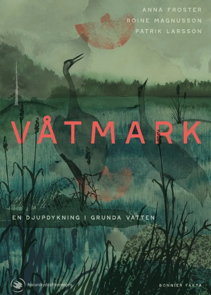 Våtmark : en djupdykning i grunda vatten