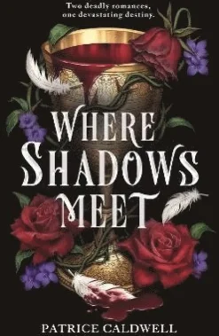Where Shadows Meet