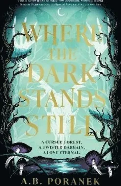 Where the Dark Stands Still